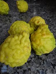 Lemon (Bush)