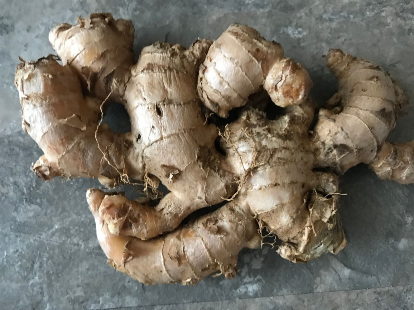 Ginger (Edible)