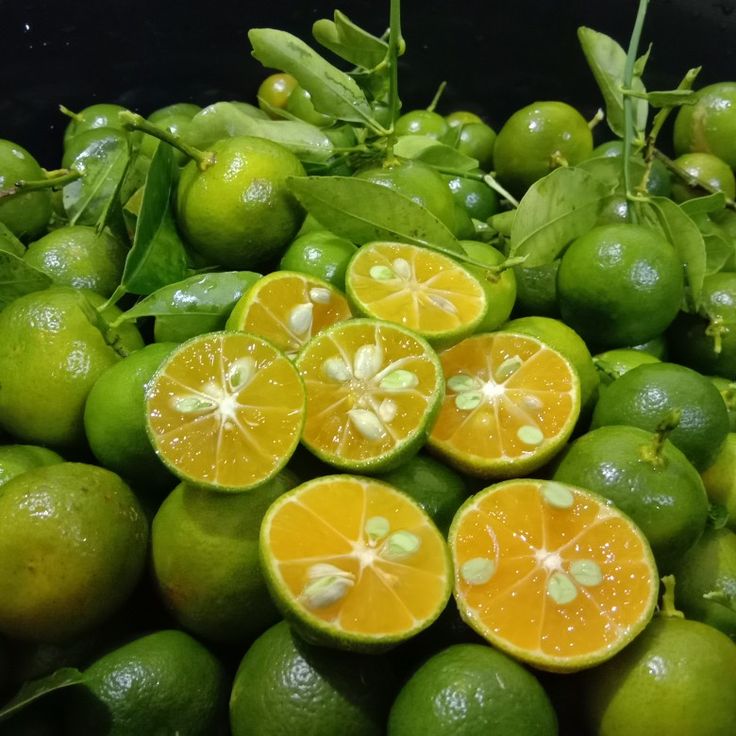 Lime (Calamansi)