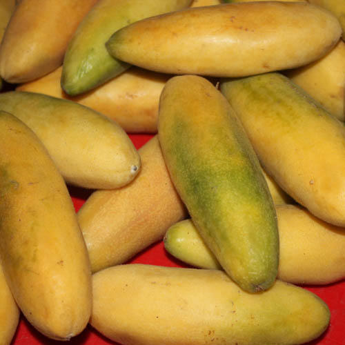 Passionfruit (Banana)