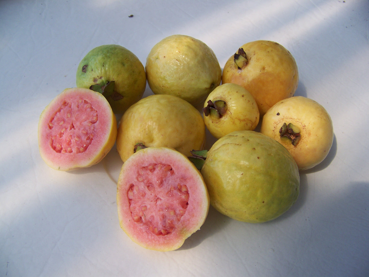 Guava (Hawaiian)