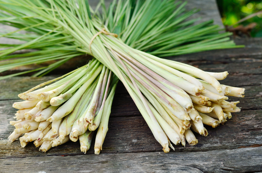 Lemon grass
