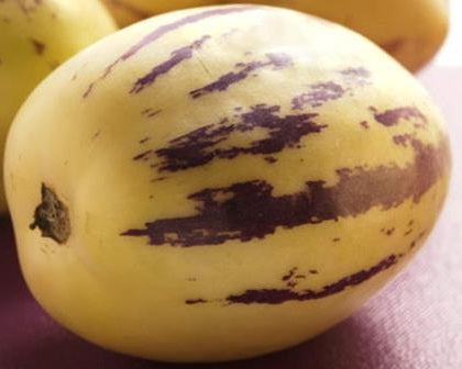 Pepino