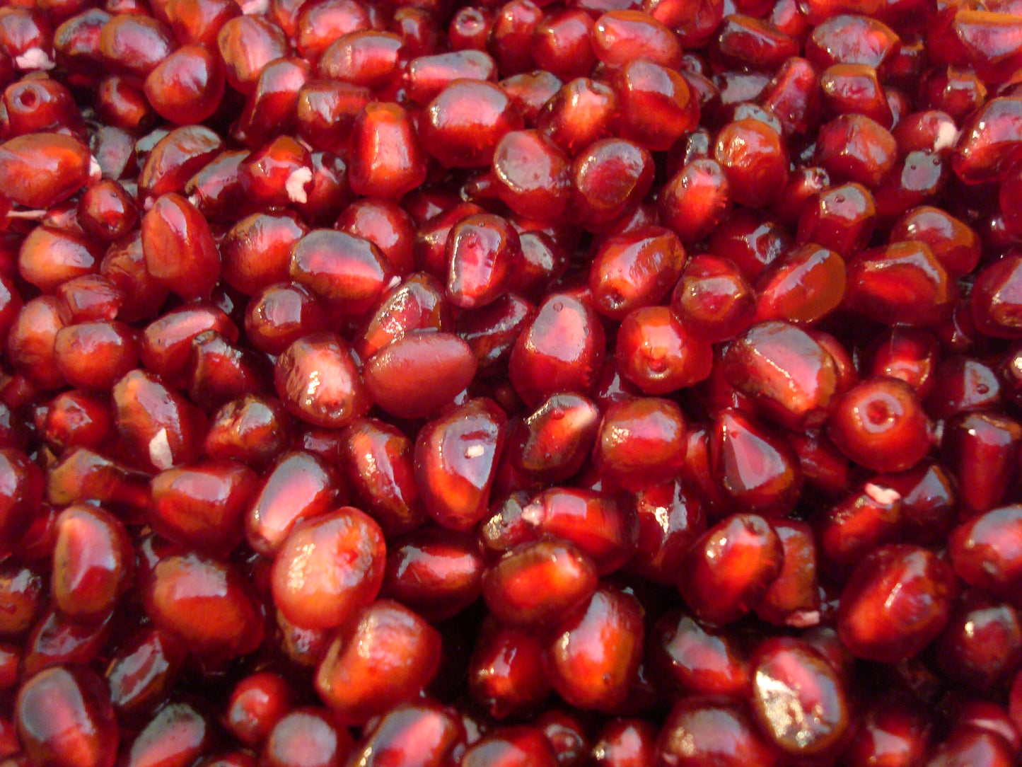 Pomegranate (Wonderful)