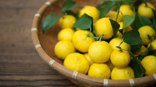 Yuzu citrus