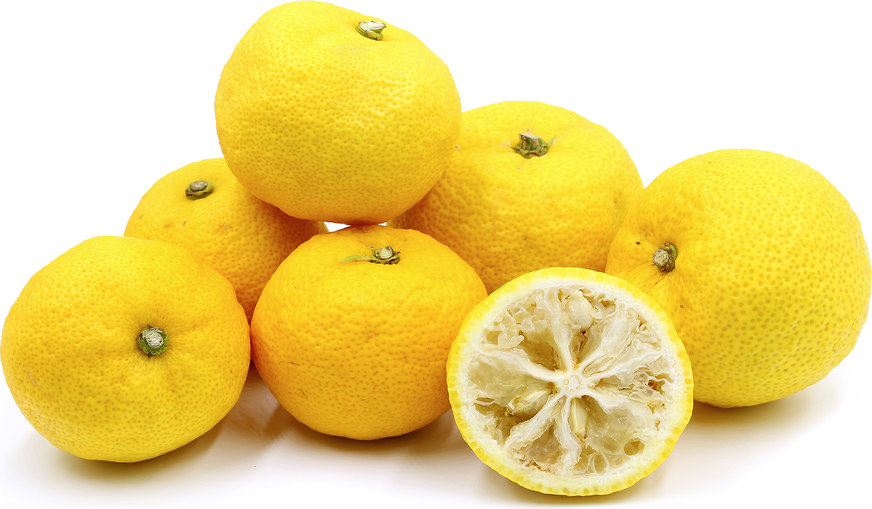 Yuzu citrus