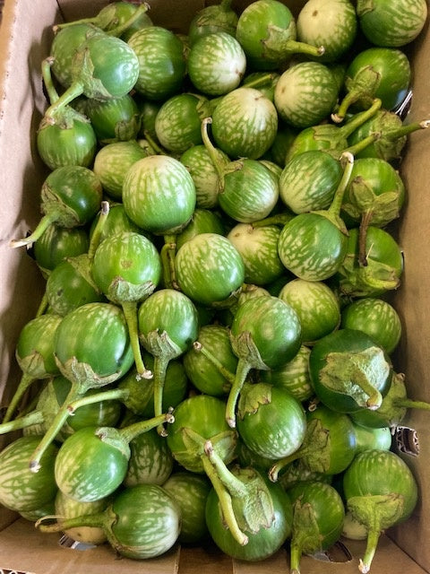Eggplant (Thai pea)