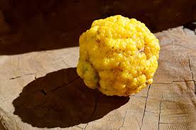 Lemon (Bush)