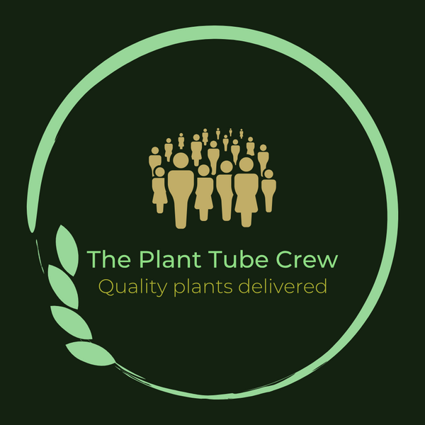 The Plant Tube Crew