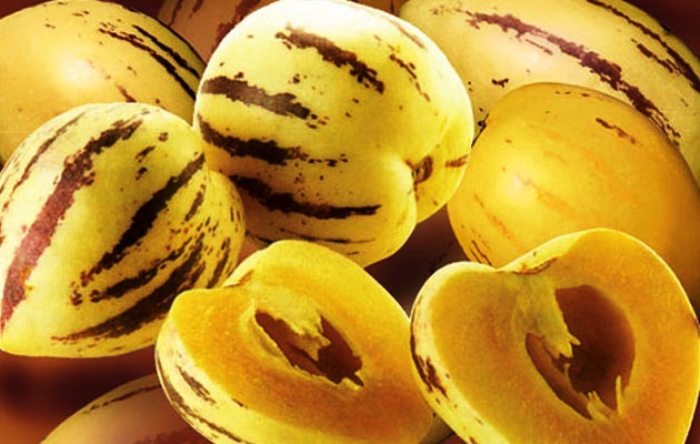 Pepino