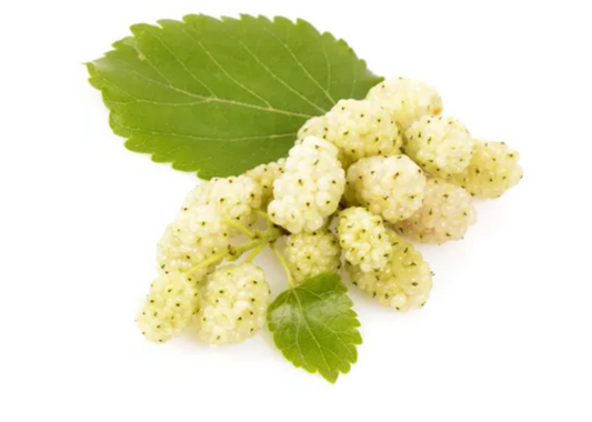 Mulberry White